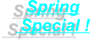 Spring  Special !